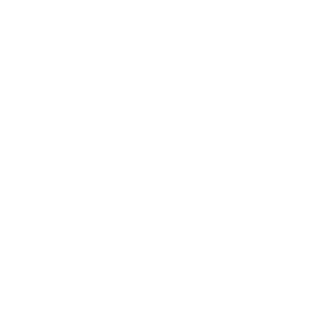 Brain Brain